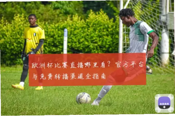 足球比赛直播在线观看免费高清渠道推荐
