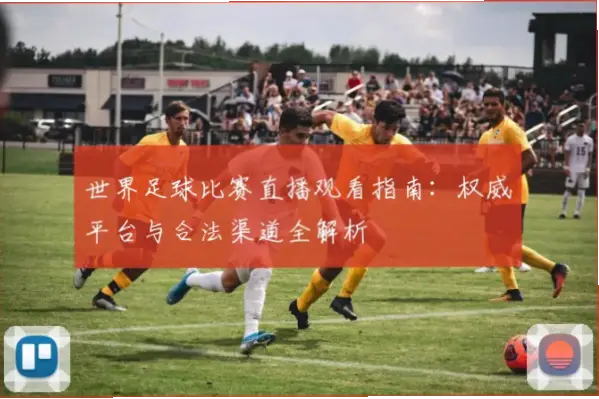 足球 比赛 直播 在线 观看 免费 观看怎么选？专业指南